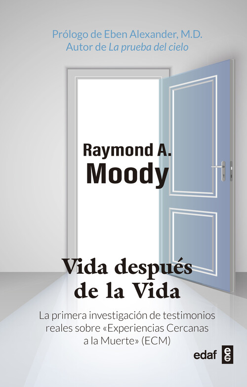 VIDA DESPUES DE LA VIDA