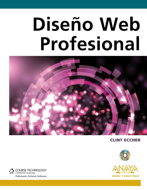 DISE�O WEB PROFESIONAL