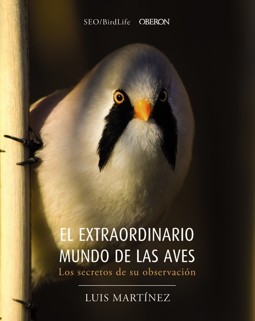 EXTRAORDINARIO MUNDO DE LAS AVES LOS SECRETOS DE SU OBSERVA