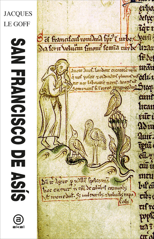 HA,UNIVERSAL 11 BAJA EDAD MEDIA