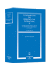 FUNDAMENTOS DEL DERECHO CIVIL PATRIMONIAL, III - LAS RELACIO