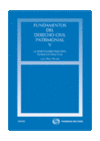 FUNDAMENTOS DERECHO CIVIL PATRIMONIAL V