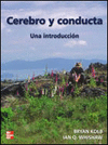 CEREBRO CONDUCTA INTRODUCCION-