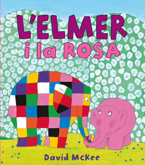 L'ELMER. UN CONTE - L'ELMER I LA ROSA