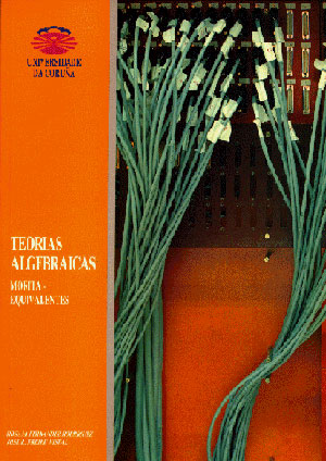 TEORIAS ALGEBRAICAS MORITA-EQUIVALENTES