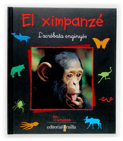 XIMPANZE, EL