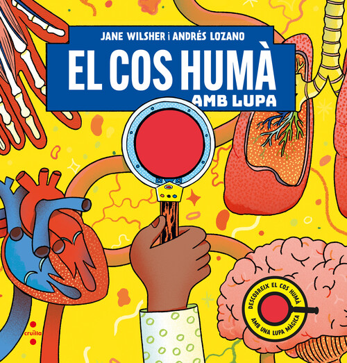 CUERPO HUMANO BAJO LA LUPA, EL