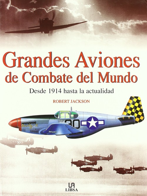 GRANDES AVIONES DE COMBATES DEL MUNDO