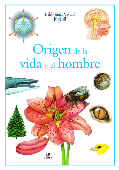 ORIGEN DE LA VIDA Y HOMBRE