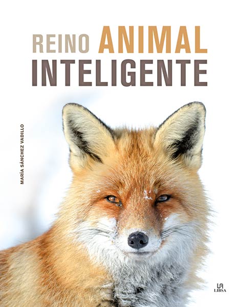 REINO ANIMAL INTELIGENTE