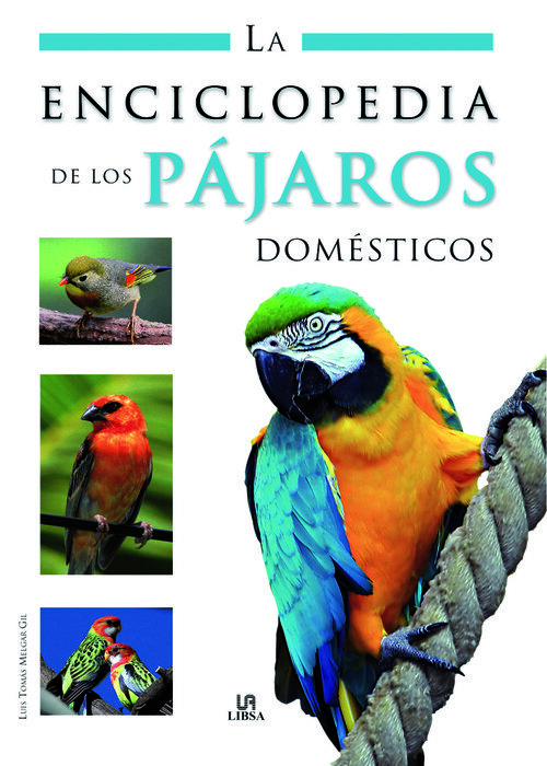 HISTORIA DE LOS PAPAS