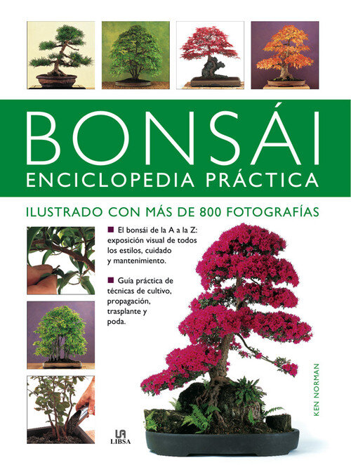 BONSAI GUIA PRACTICA COMPLETA
