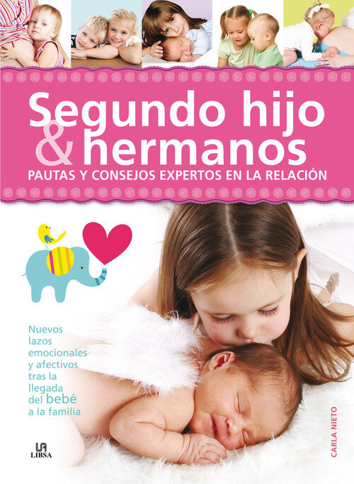 SEGUNDO HIJO & HERMANOS-PAUTAS Y CONSEJOS EXPERTOS EN LA RE