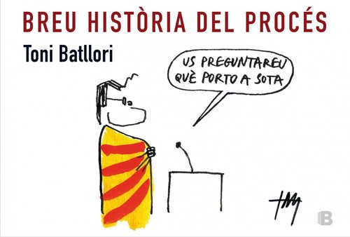 BREU HISTORIA DEL PROCES