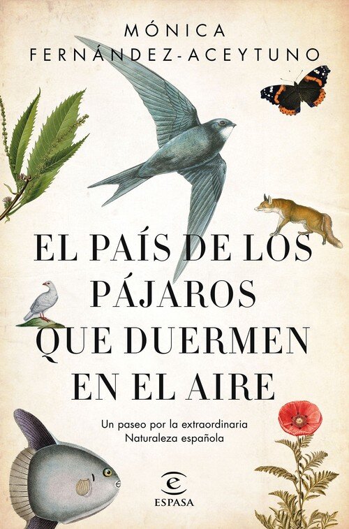 PAIS DE LOS PAJAROS QUE DUERMEN EN EL AIRE