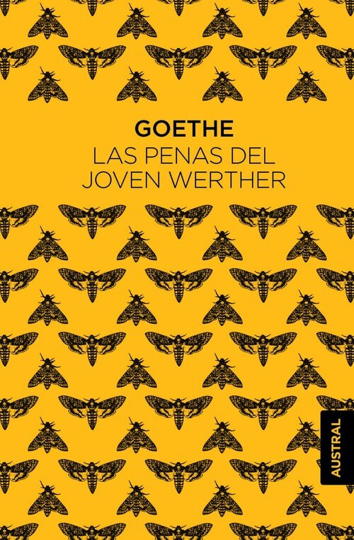 PENAS DEL JOVEN WERTHER, LAS