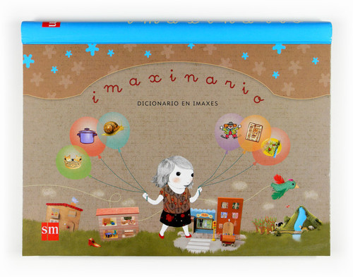 DICCIONARIO IMAXINARIO