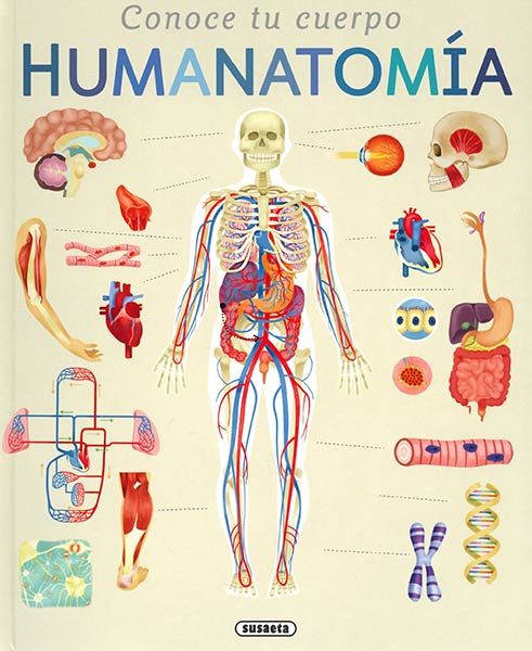 CONOCE TU CUERPO,HUMANATOMIA