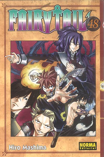 FAIRY TAIL N 48