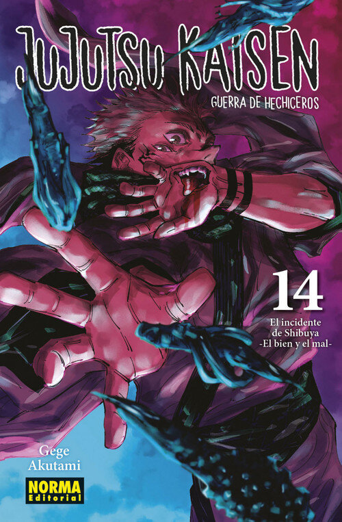 JUJUTSU KAISEN 17