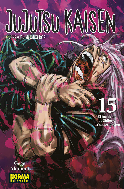 JUJUTSU KAISEN 17
