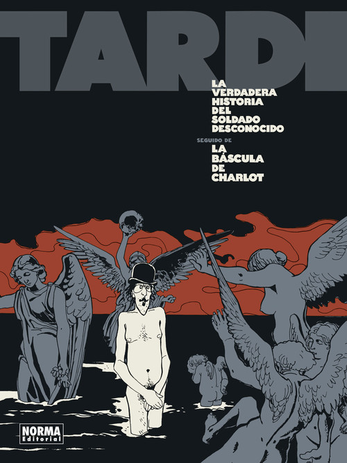 VERDADERA HISTORIA DEL SOLDADO DESCONOCIDO, LA