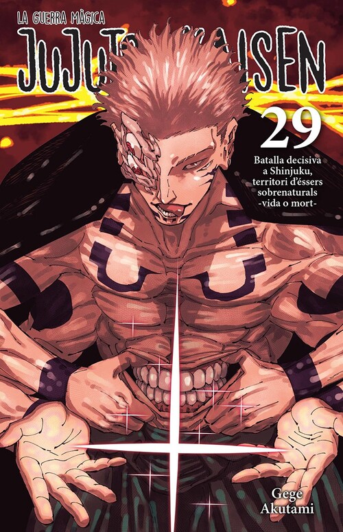 JUJUTSU KAISEN 29
