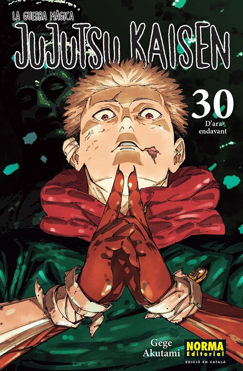 JUJUTSU KAISEN 29