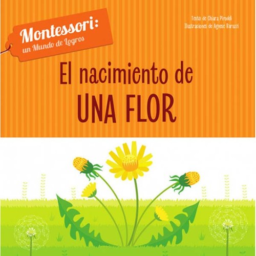 NACIMIENTO DE UNA FLOR, EL