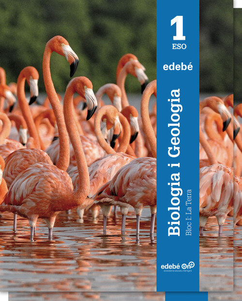 BIOLOGIA I GEOLOGIA ES1 (CAT)