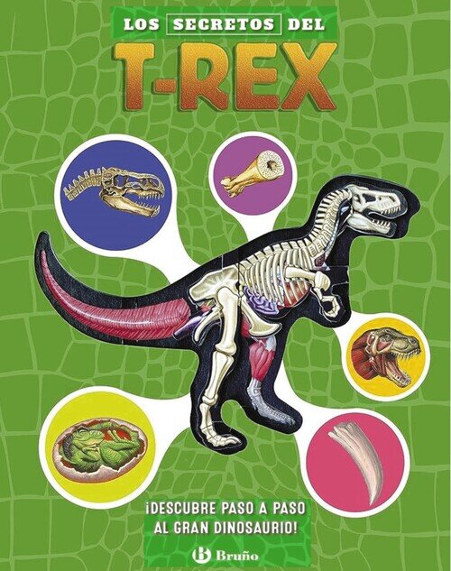 TRICERATOPS-DETCTIVE DE FOSILES