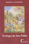 TEOLOGIA DE SAN PABLO (RUSTICA)