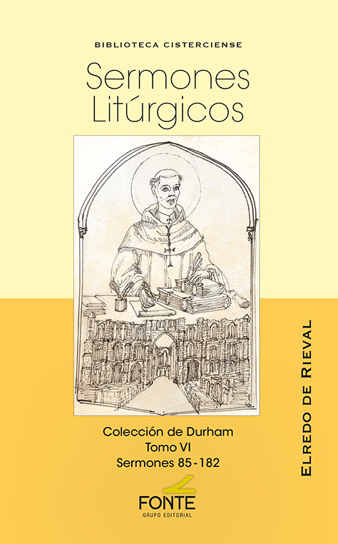 SERMONES LITURGICOS. TOMO VI