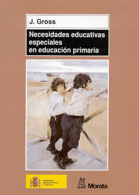 NECESIDADES EDUCATIVAS ESPECIALES EN E.P.