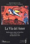 PARTICIPAR EN LAS VIRTUDES DE CRISTO (RUSTICA)