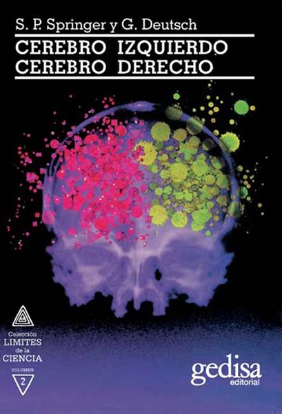 CEREBRO IZQUIERDO, CEREBRO DERECHO
