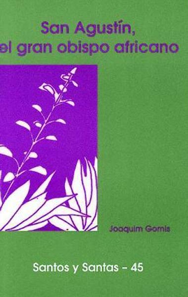 SAN AGUSTIN, EL GRAN OBISPO AFRICANO