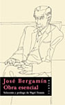 JOSE BERGAMIN