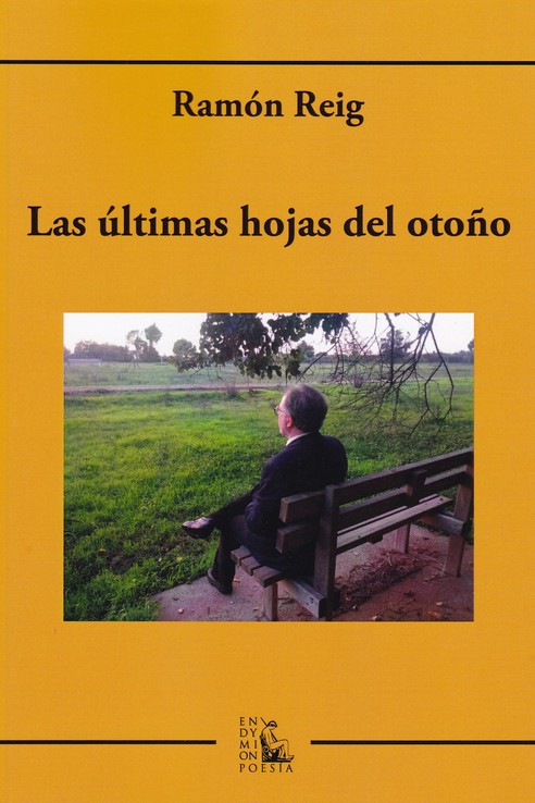 ULTIMAS HOJAS DEL OTO�O,LAS