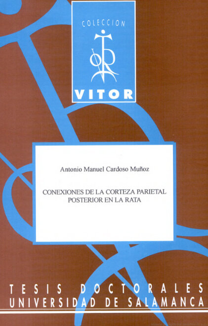 CONEXIONES DE LA CORTEZA PARIETAL POSTERIOR EN LA RATA