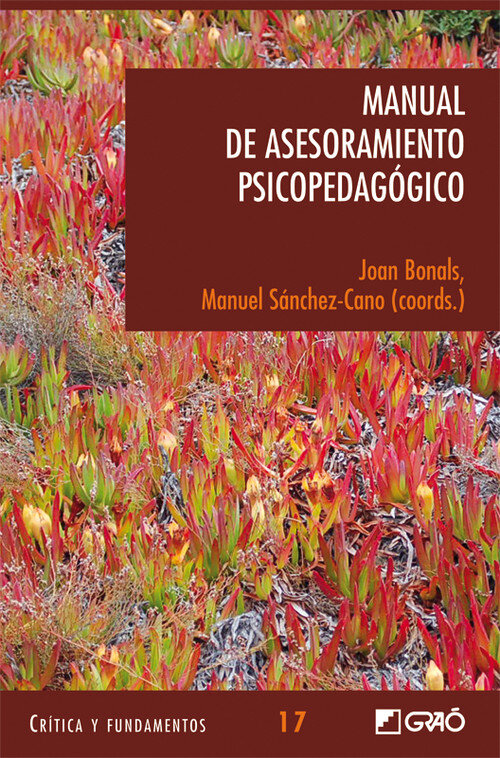 MANUAL DE ASESORAMIENTO PSICOPEDAGOGICO