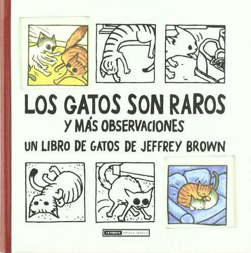GATOS SON RAROS Y MAS OBSERVADORES, LOS