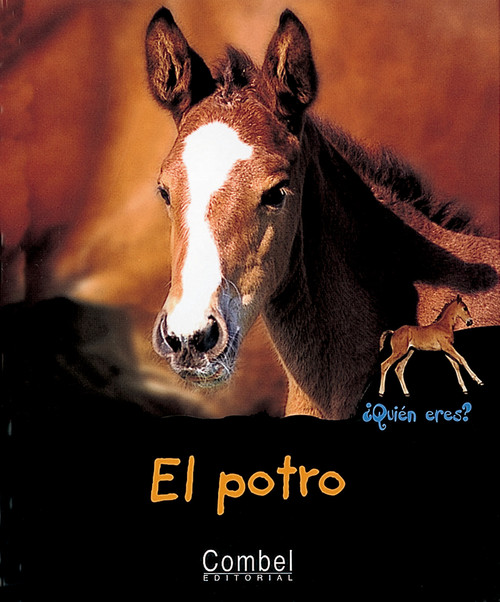 POTRO-QUIEN ERES?