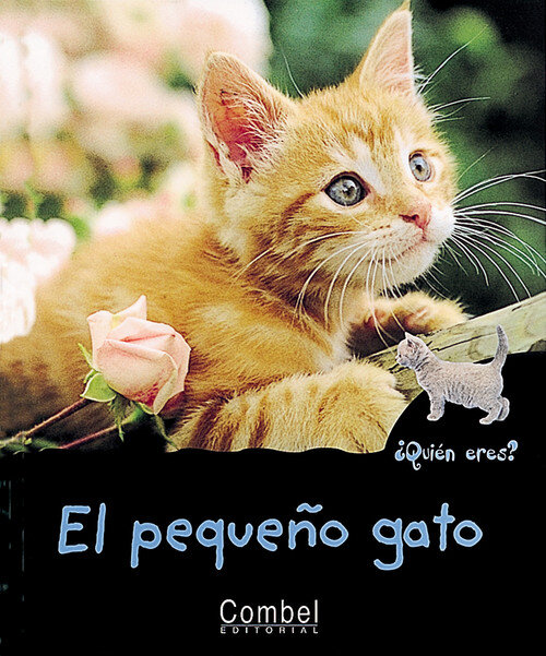 PEQUE�O GATO-QUIEN ERES?
