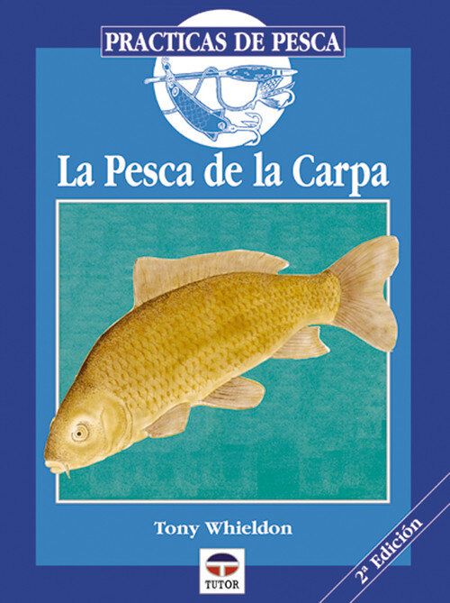 MONTAJE DE MOSCAS