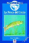 MONTAJE DE MOSCAS