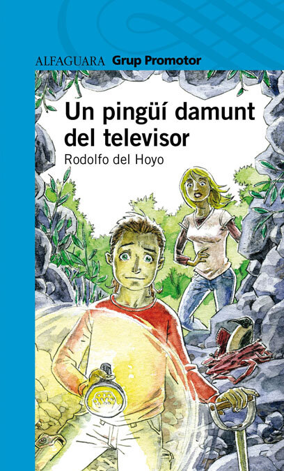 UN PINGUI DAMUNT EL TELEVISOR