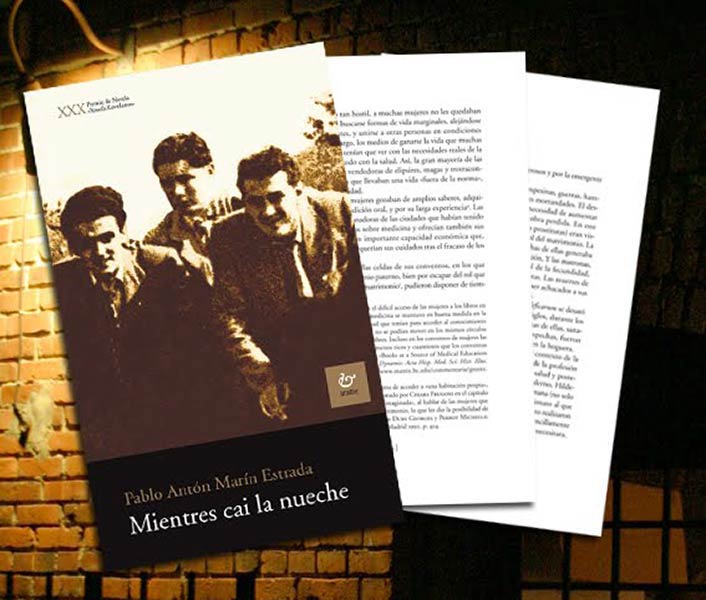 MIENTRES CAI LA NUECHE