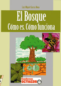 BOSQUE COMO ES COMO FUNCIONA