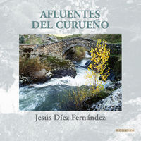 AFLUENTES DEL CURUE�O